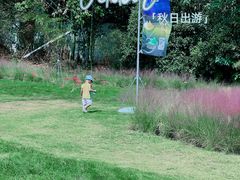 -凤凰沟景区