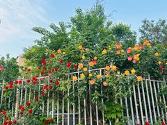 -元大都城垣遗址公园