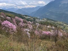 -九皇山景区