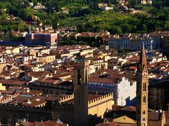 -圣母百花大教堂穹顶