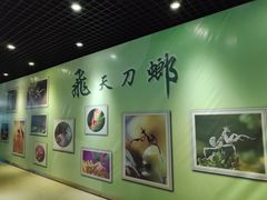 景点-上海昆虫博物馆