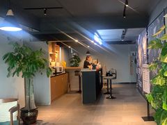 -梵猫·新养生(湛江鼎盛店)