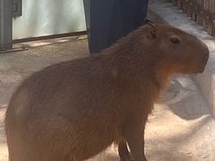 -昆明动物园