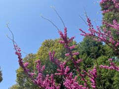 -白塘生态植物园