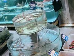 -强记海鲜·大排档(蛇口新街店)