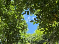 -牛背梁国家森林公园