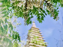 -北京石刻艺术博物馆(五塔寺)