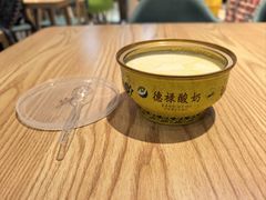 -德禄酸奶(莫家街店)