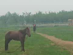 -天王浮山樱花园