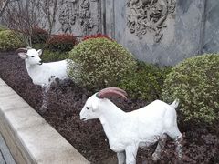 -三林塘老街