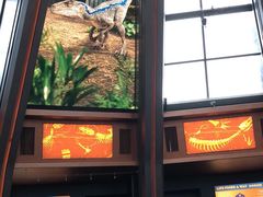 -北京环球影城主题公园-停车楼