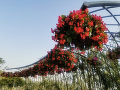 -上海植物园-4号门售票处