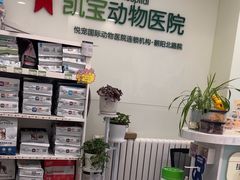 -悦宠凯宝动物医院·牙科·皮肤科(朝阳北路店)