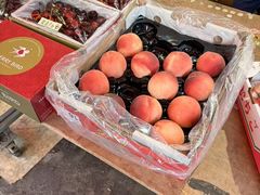 -油麻地果栏