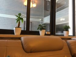 -VON半永久眉学设计