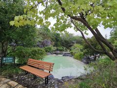 -上海吴淞炮台湾国家湿地公园