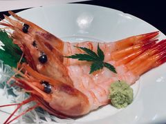 甜虾-鲤·鮨KOISUSHI