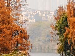 -重庆彩云湖湿地公园