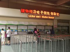 -苏州乐园森林水世界