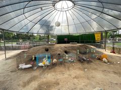 -前小桔亲子创意农场·草莓采摘·露营烧烤