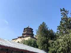 -颐和园