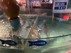 -坛宗剁椒鱼头(河西王府井店)