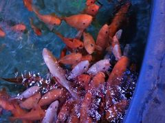 -横店影视城梦幻谷园区