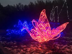 -祥源·阜阳生态乐园