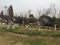 -金山农民画村-枫泾波兰倒置屋