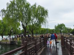 -苏州上方山国家森林公园