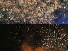 -花博汇(知音花月夜)