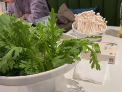 -烹然四季椰子鸡火锅(姚家园万象汇店)