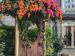 -御彩酒家(东风东路店)