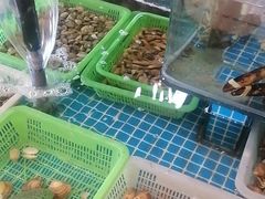 -和源祥·日照菜扛把子(万平口一店)