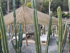 -MOJ coffee(瓯海泽雅水碓坑店)