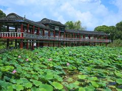 -洪湖生态旅游区