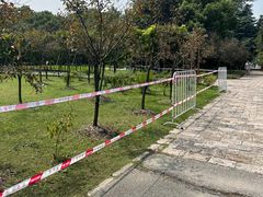 -上海滨江森林公园