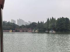 -青枫公园
