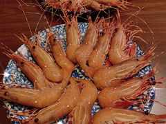 -上海外滩茂悦大酒店