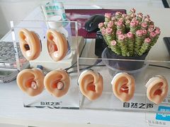 -自然之声助听器·呼吸机(公园路店)