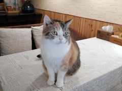 -隅cafe(傅厚岗店)
