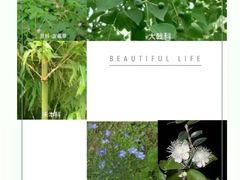 -瑞派申生动物医院·24H夜诊·国际动物医疗中心·骨外科(吴中路店)