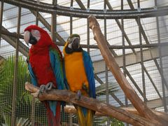 -南宫五洲植物乐园