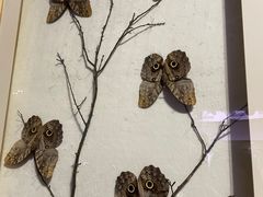 -陕西自然博物馆