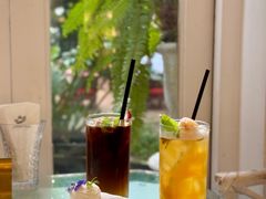 -Fern Forest Cafe