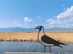 -野鸭湖国家湿地公园