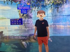 -烟台海昌鲸鲨海洋公园