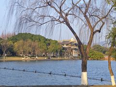 -江心屿景区