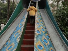 -成飞公园