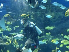-海合安武汉极地海洋公园